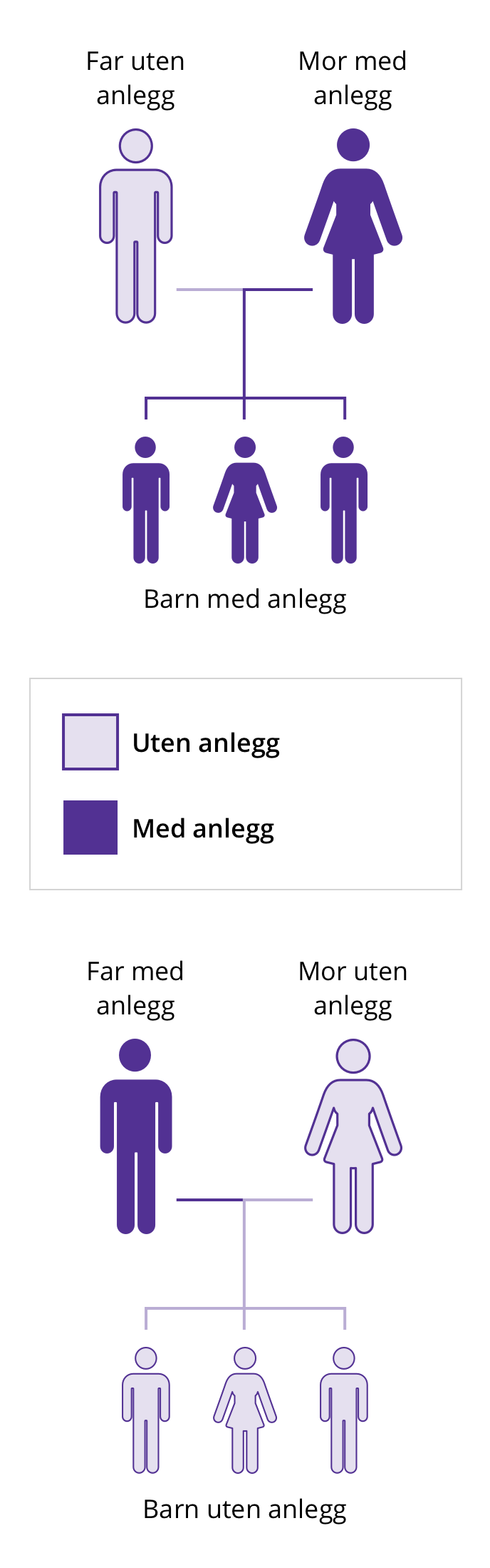 Barn av en mor med LHON-mutasjon arver mutasjonen