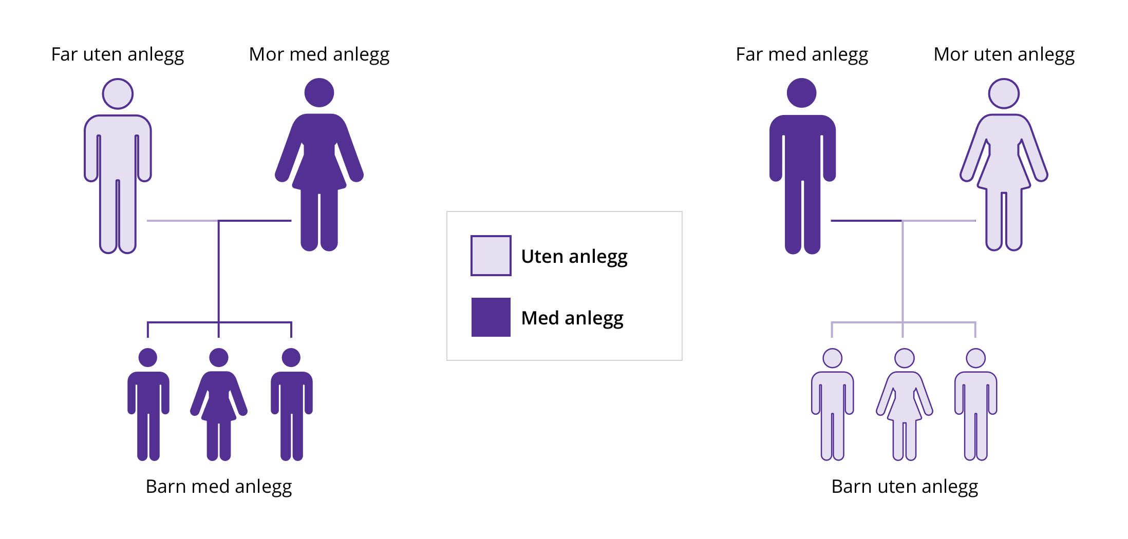 Barn av en mor med LHON-mutasjon arver mutasjonen